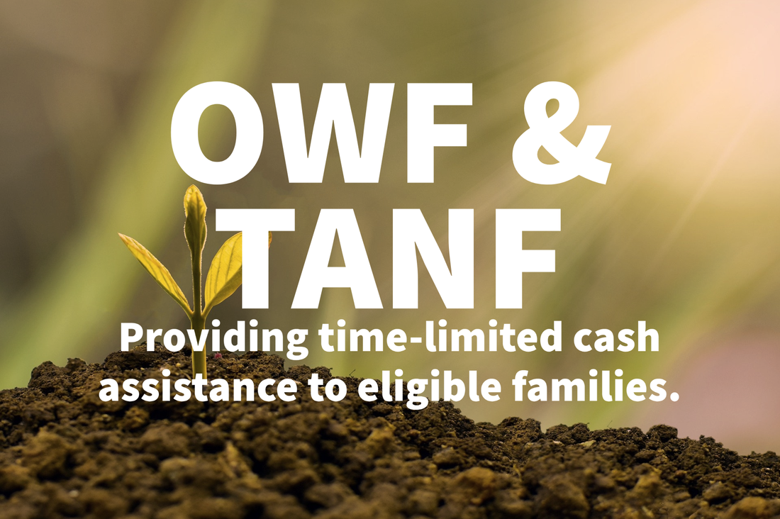 Champaign County OWF and TANF Cash Assistance